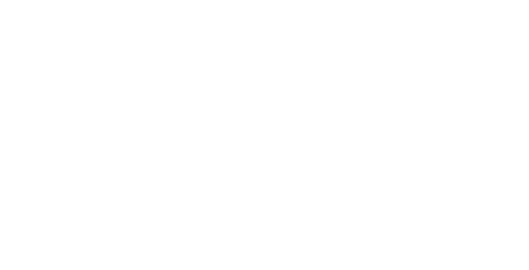 CAPI the AI